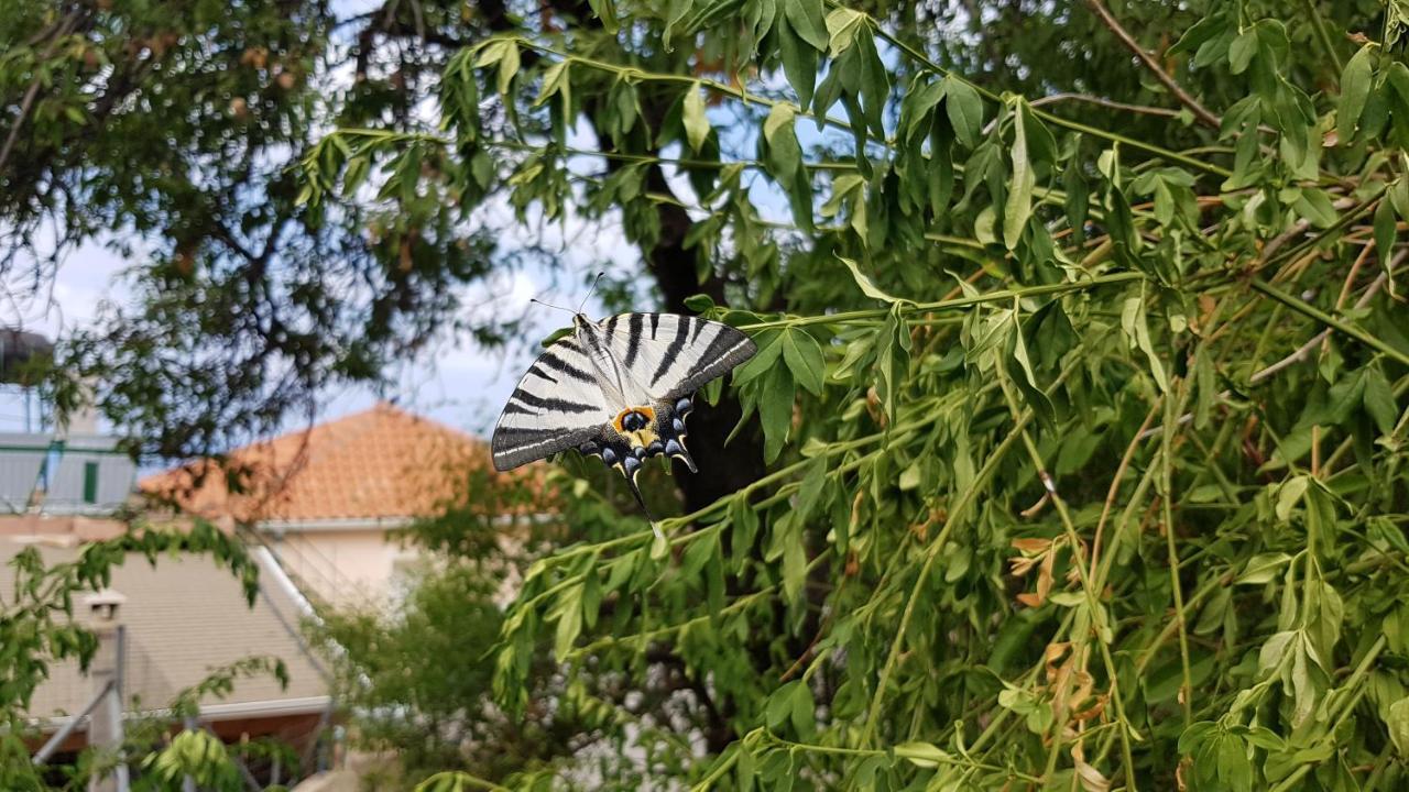 Villa Comfy House With Private Garden & View, Near Kyparissia Castle Exterior foto